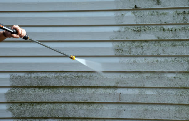 Best Sidewalk and Walkway Cleaning  in Bremen, GA